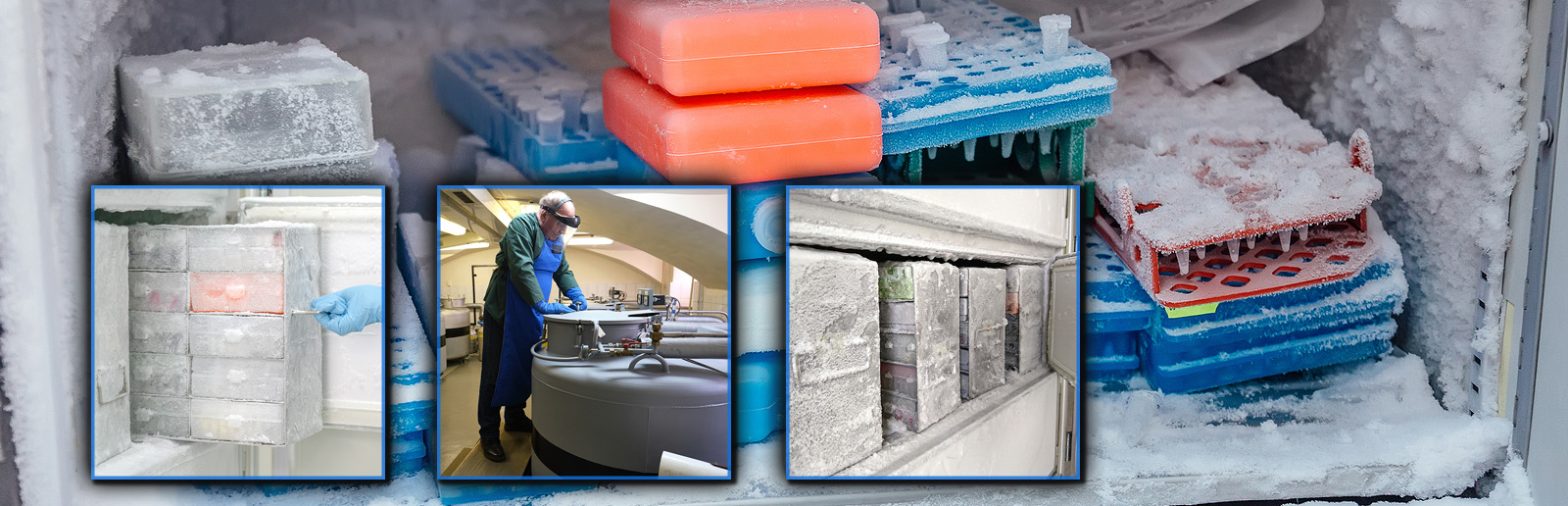 Walk-in cooler freezer installation cold storage San Diego